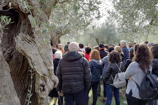 Tour image 6
